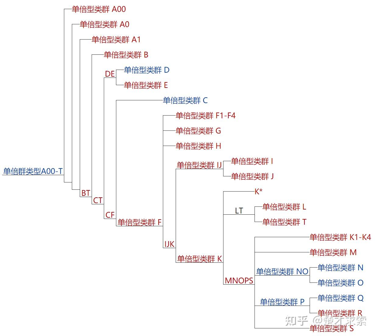 人类y染色体dna单倍群的基因进化树