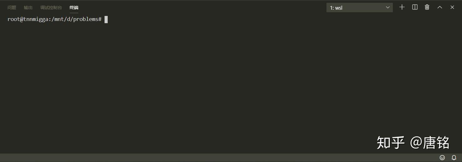 Vscode wsl 