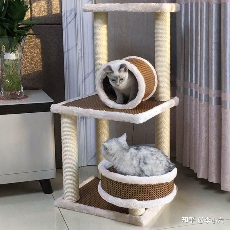 (新手必看)养猫的基本装备之---猫窝 - 知乎
