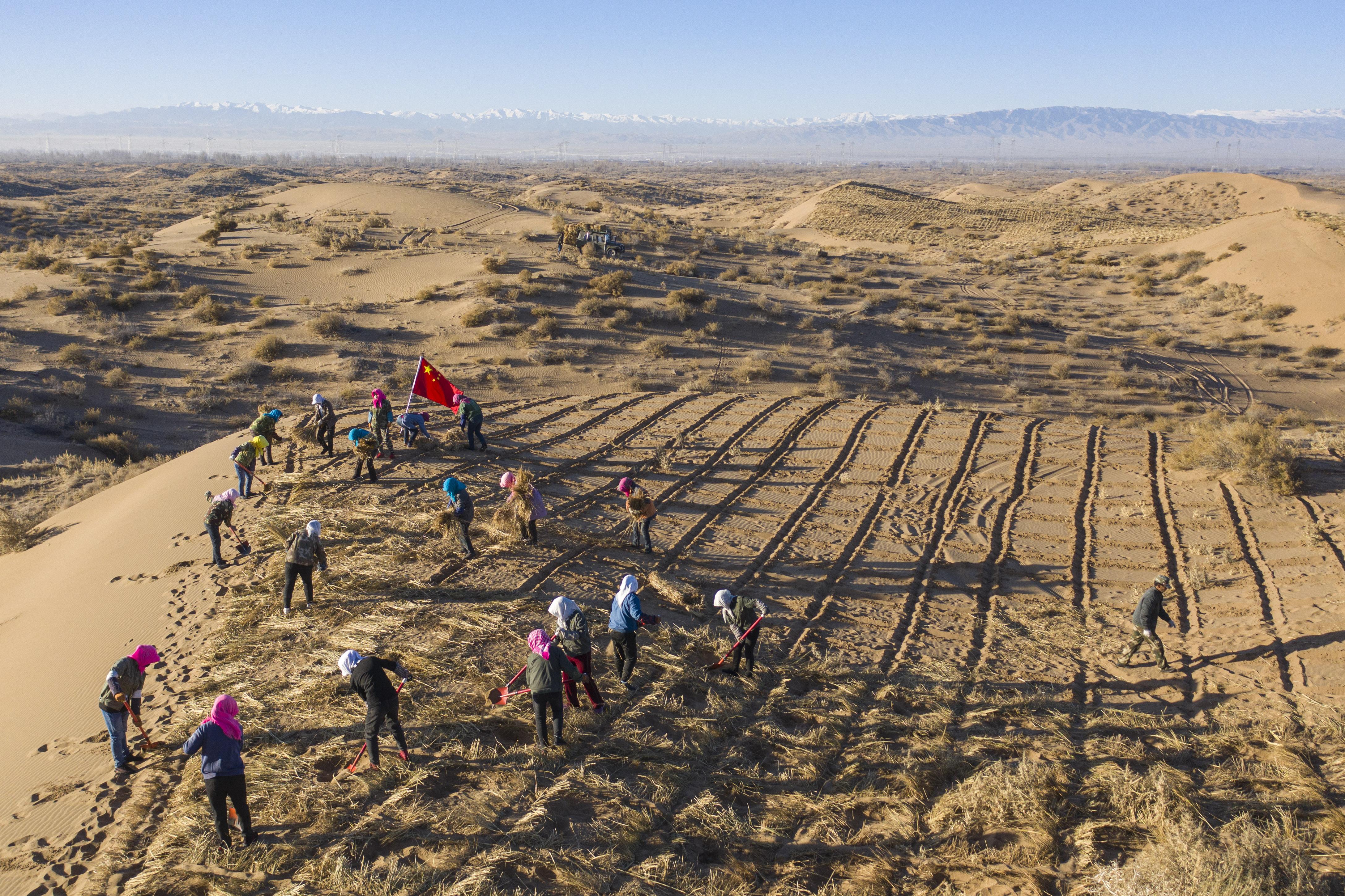 刘怀裕敢把沙漠变绿洲第一届甘肃现代摄影艺术展览优秀摄影作品