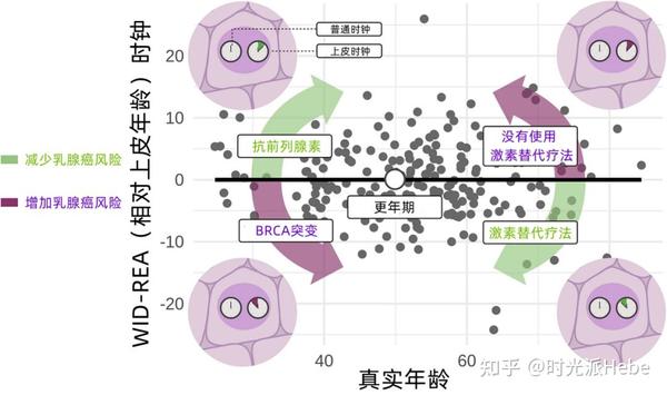 表观遗传时钟最新盘点,最精准的手段评估衰老,才能实现靶向逆转 - 知乎