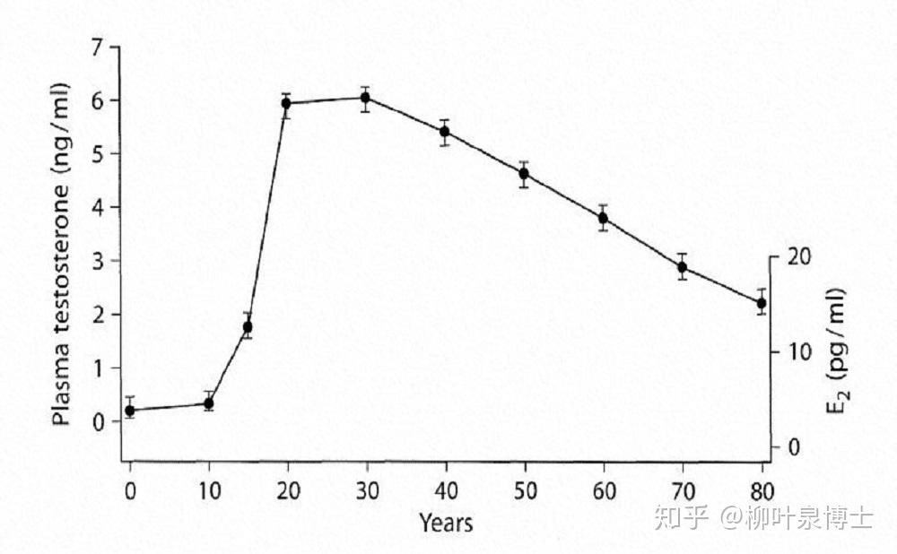 人体内睾酮随着年龄增长而下降