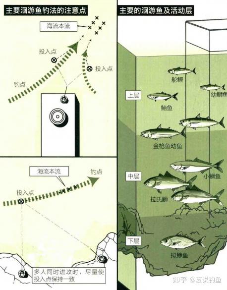 日本专业矶钓书籍洄游鱼矶钓对象鱼和钓点讲解