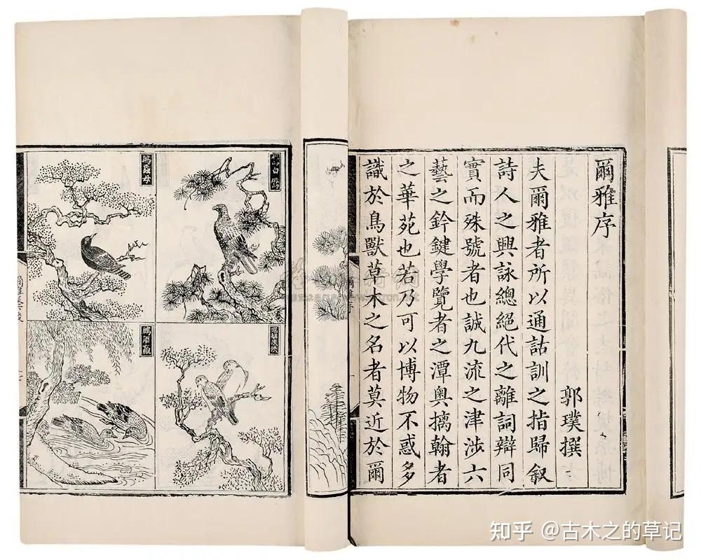 浅析宋代的“鸟兽草木之学” - 知乎
