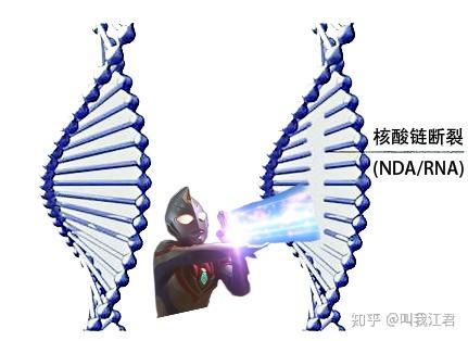如何正确地选购以及使用紫外线杀菌灯?