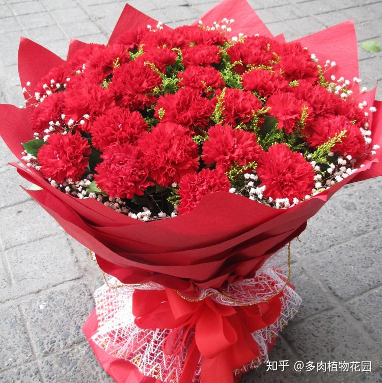 康乃馨这样养护母亲节不用买鲜花