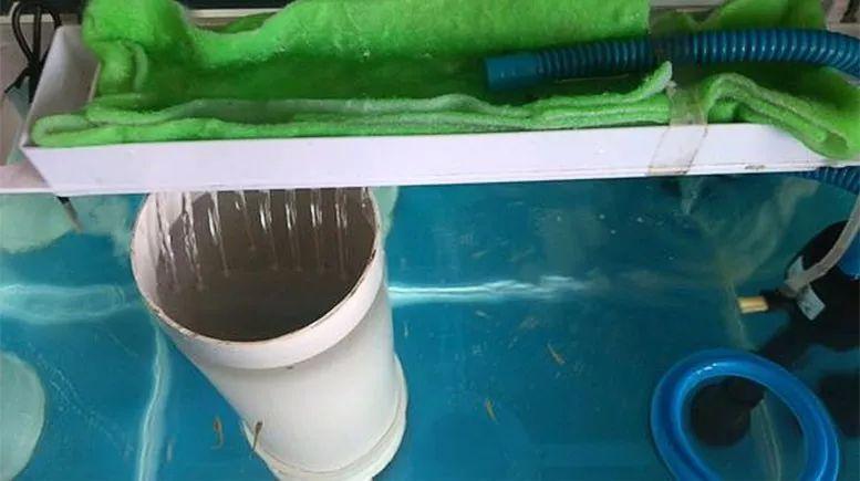 鱼缸硝化系统不够用先做个反气举玩玩