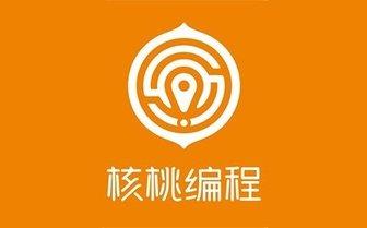 核桃编程7岁小朋友学习是否太早