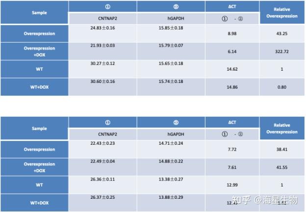 基因表达调控技术—Tet-On 可诱导过表达系统 - 知乎