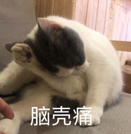 傻文案沙雕,傻雕文案短句