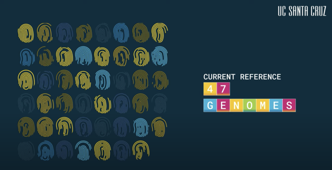 UCSC研究小组再登《自然》杂志！世界首个“人类泛基因组”草图发布 知乎