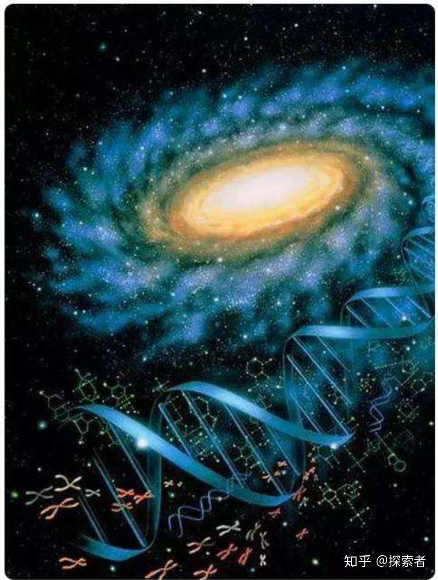 微观宇宙细胞方面