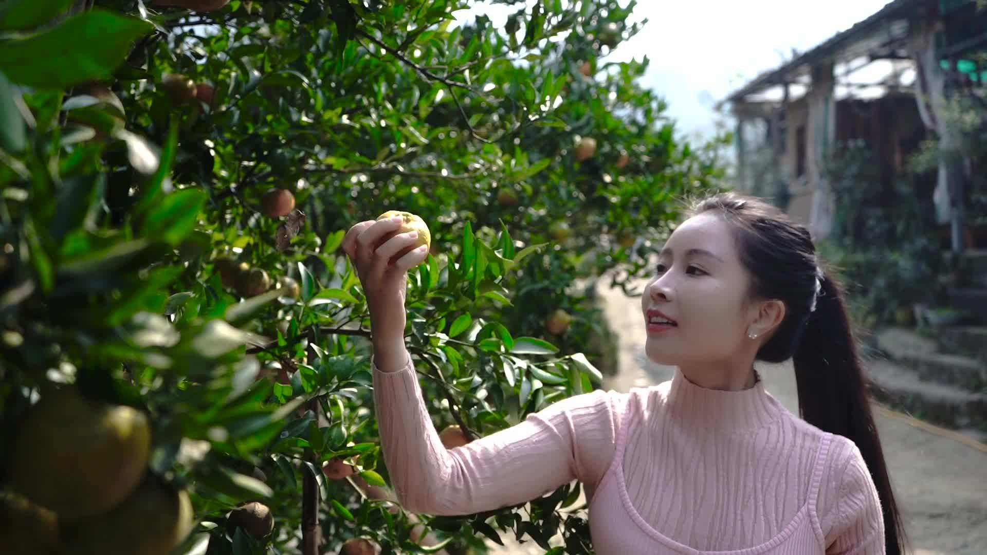 满山不起眼的芦苇阿蛮上山采一大把回家纯手工编织成工艺品