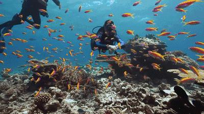 让大海消去身上的热气,那这个就在我们中国珠海的"百岛之城"万山岛