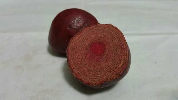 豪猪枣的类别 - 知乎