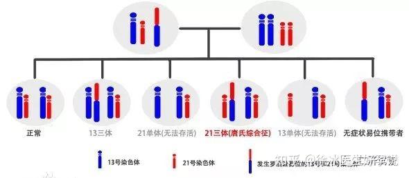 罗伯逊易位 - 知乎