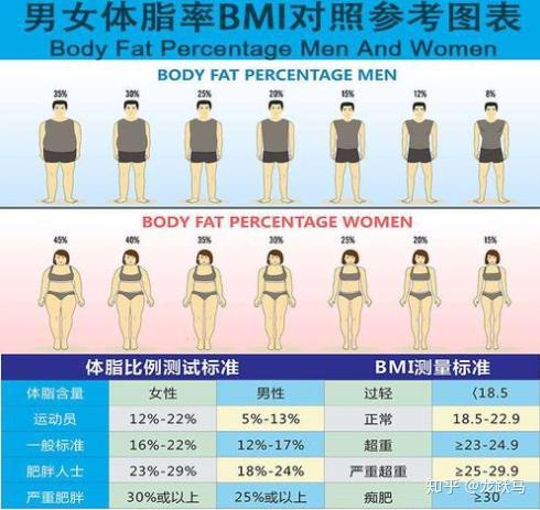 三款体脂秤体验后 价格 颜值 实用最注重哪个 知乎