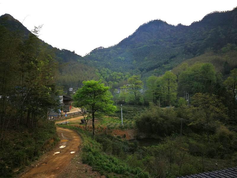 江墩等地是世界上的紅茶發明地,在村屬行政區域內和建陽市,光澤縣交界