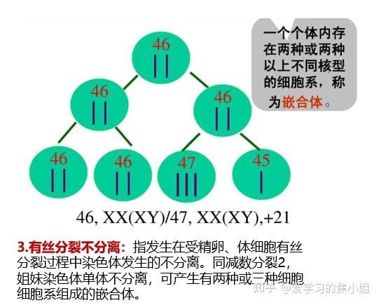 焦老师讲遗传系列之3染色体数目异常