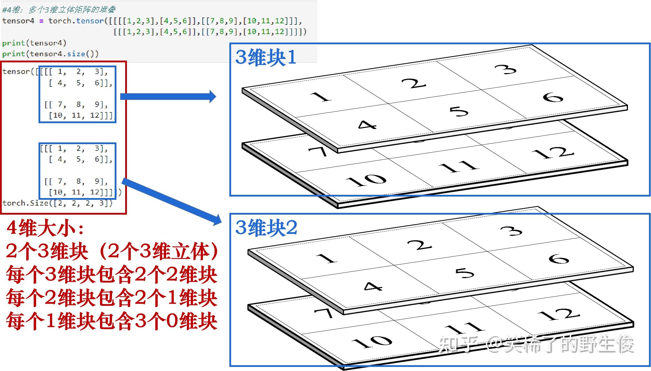  torch tensor 