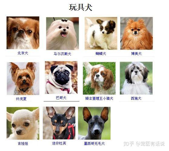 犬品种你知多少? - 知乎
