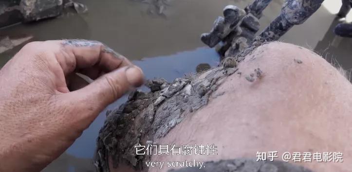 bbc最高水准的纪录片是哪个系列