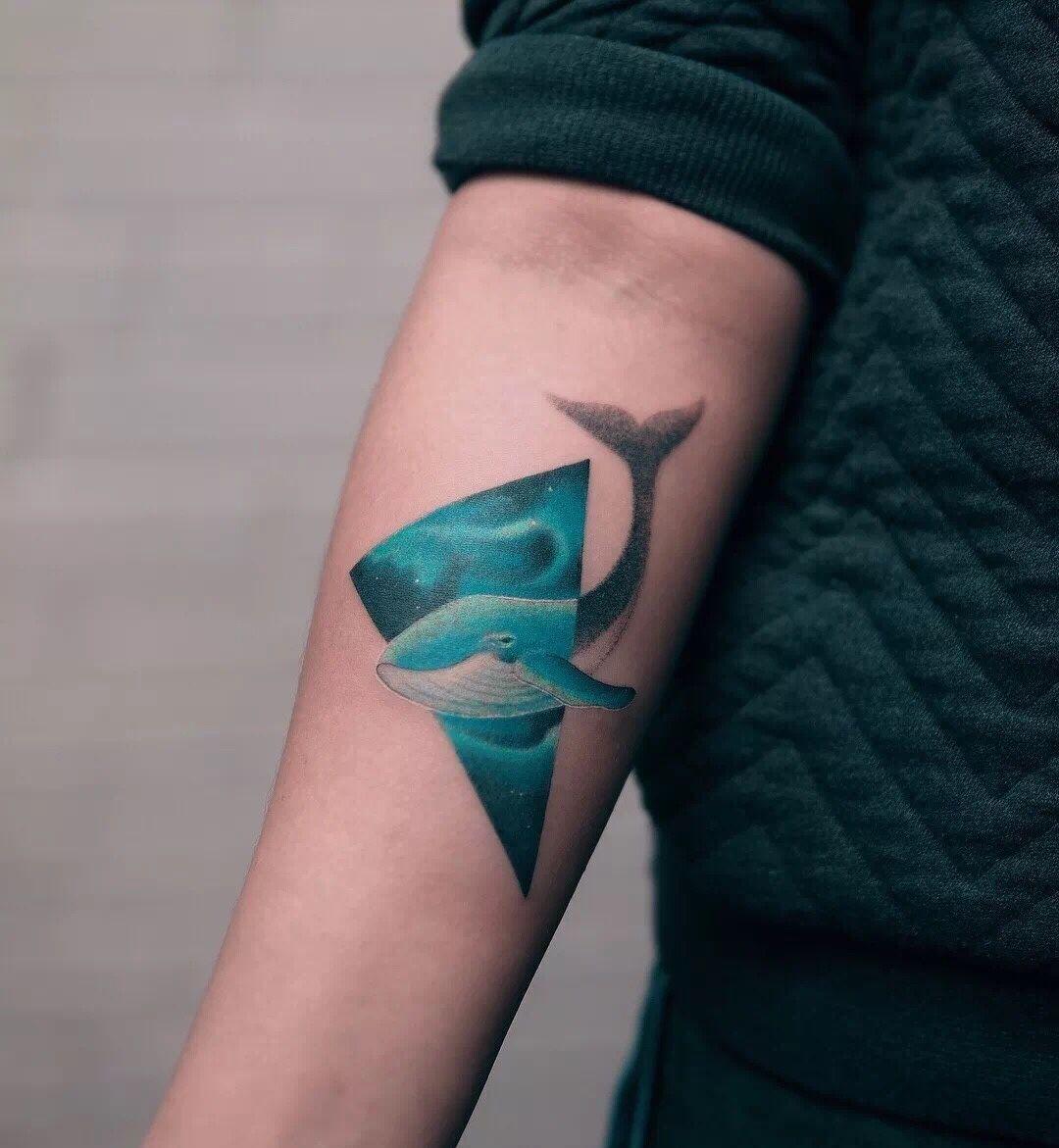 游弋在身体上的海洋精灵-鲸鱼- 知乎