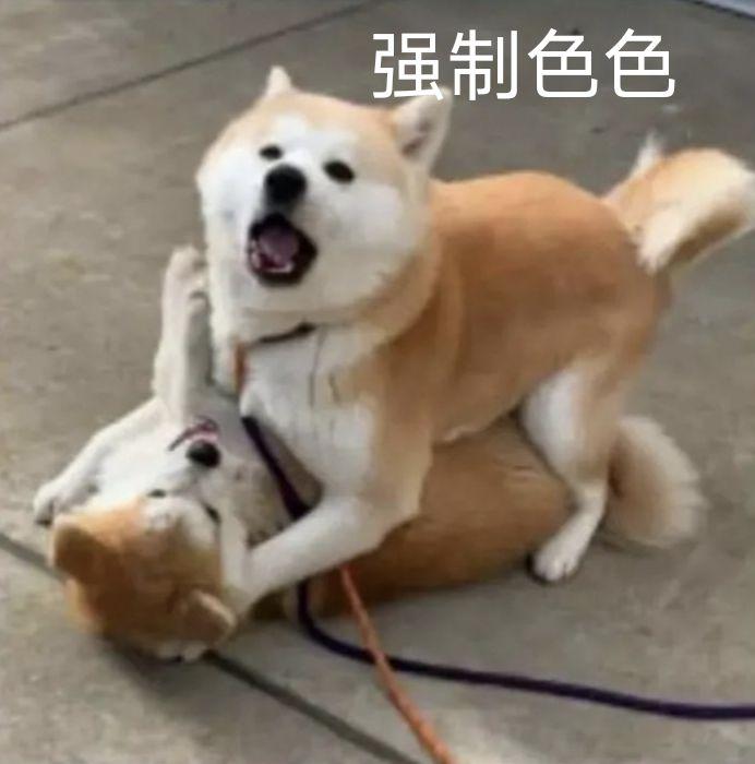 色色表情包 - 知乎