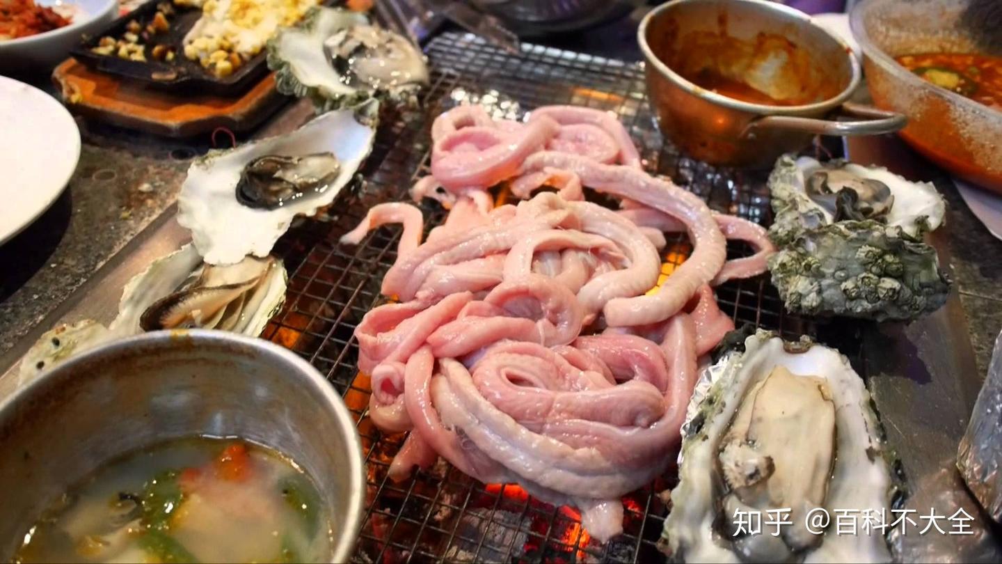 动物篇(32)·无颌鱼 - 知乎
