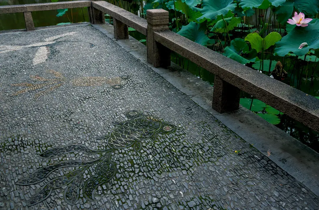 地上织绣,苏州园林的花街铺地 知乎