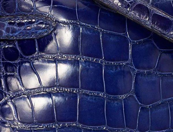 鳄鱼皮的品种有哪些