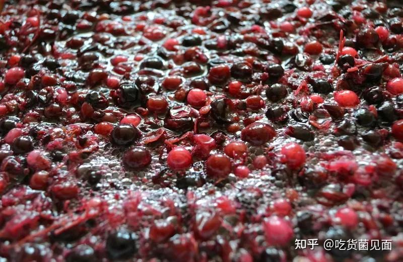 真实的葡萄酒发酵过程