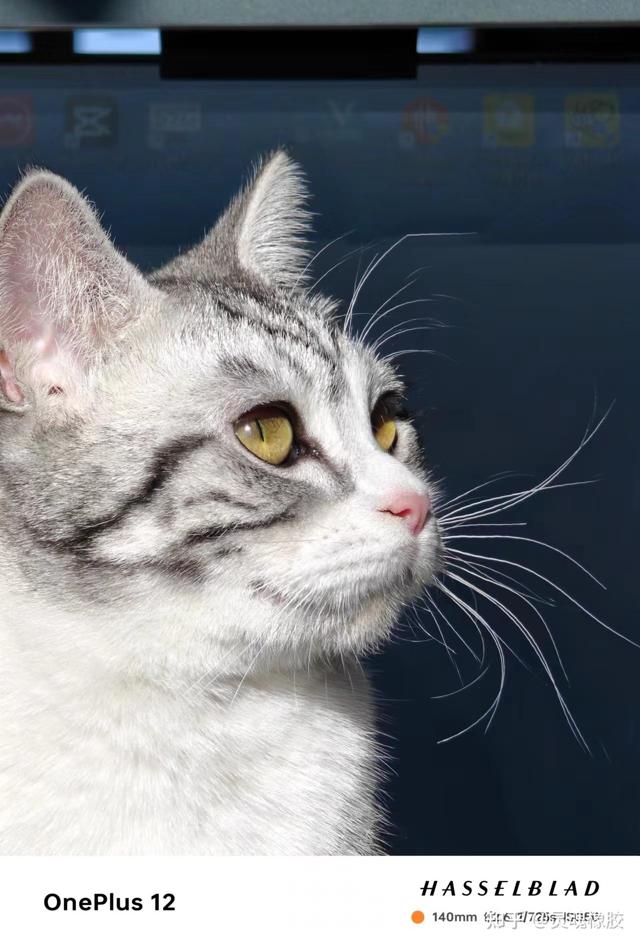 女神节来袭拒绝浮夸礼物主打一送一个不吱声