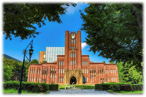 日本东京大学(日本东京大学留学申请条件)