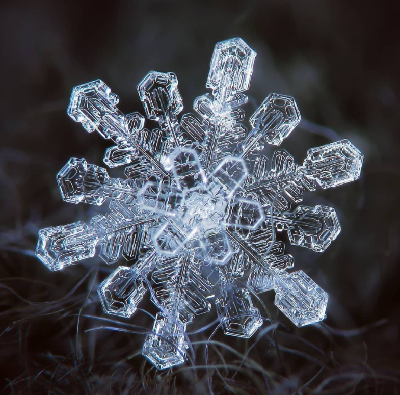 36种雪花形状实拍实景图片