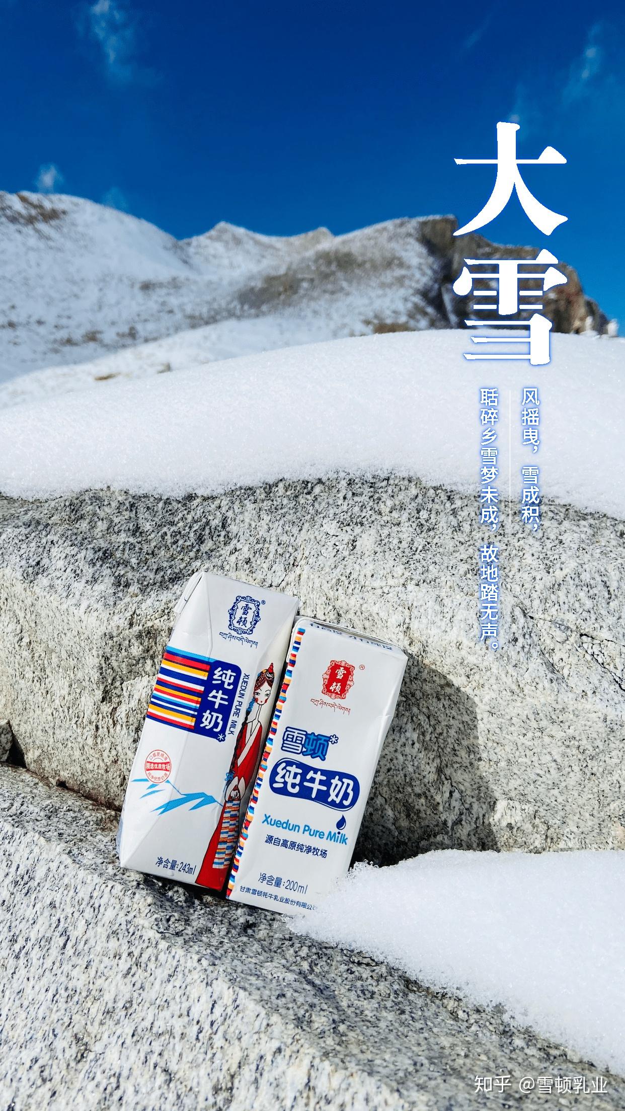 高原雪域遇上雪顿纯牛奶,超你想象的美丽景色!