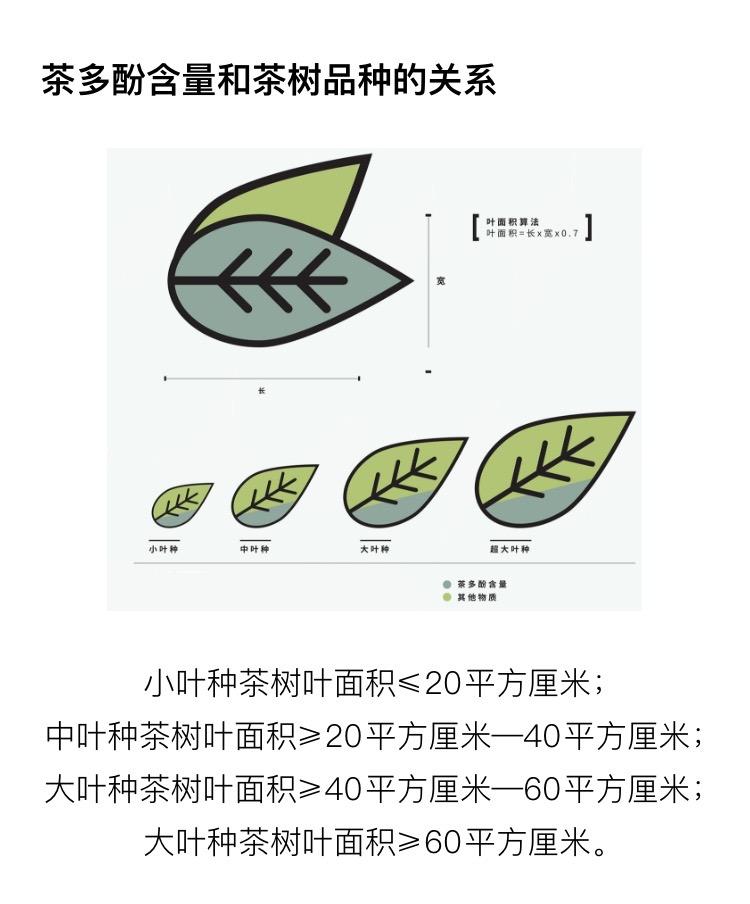 石州茶道 茶事三十五格