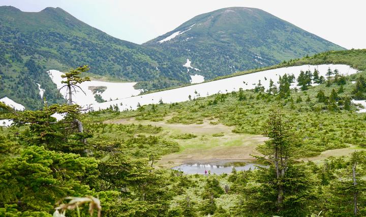 日本的湿地与高山植被 八甲田山 知乎 日本的湿地与高山植被 八甲田山 知乎