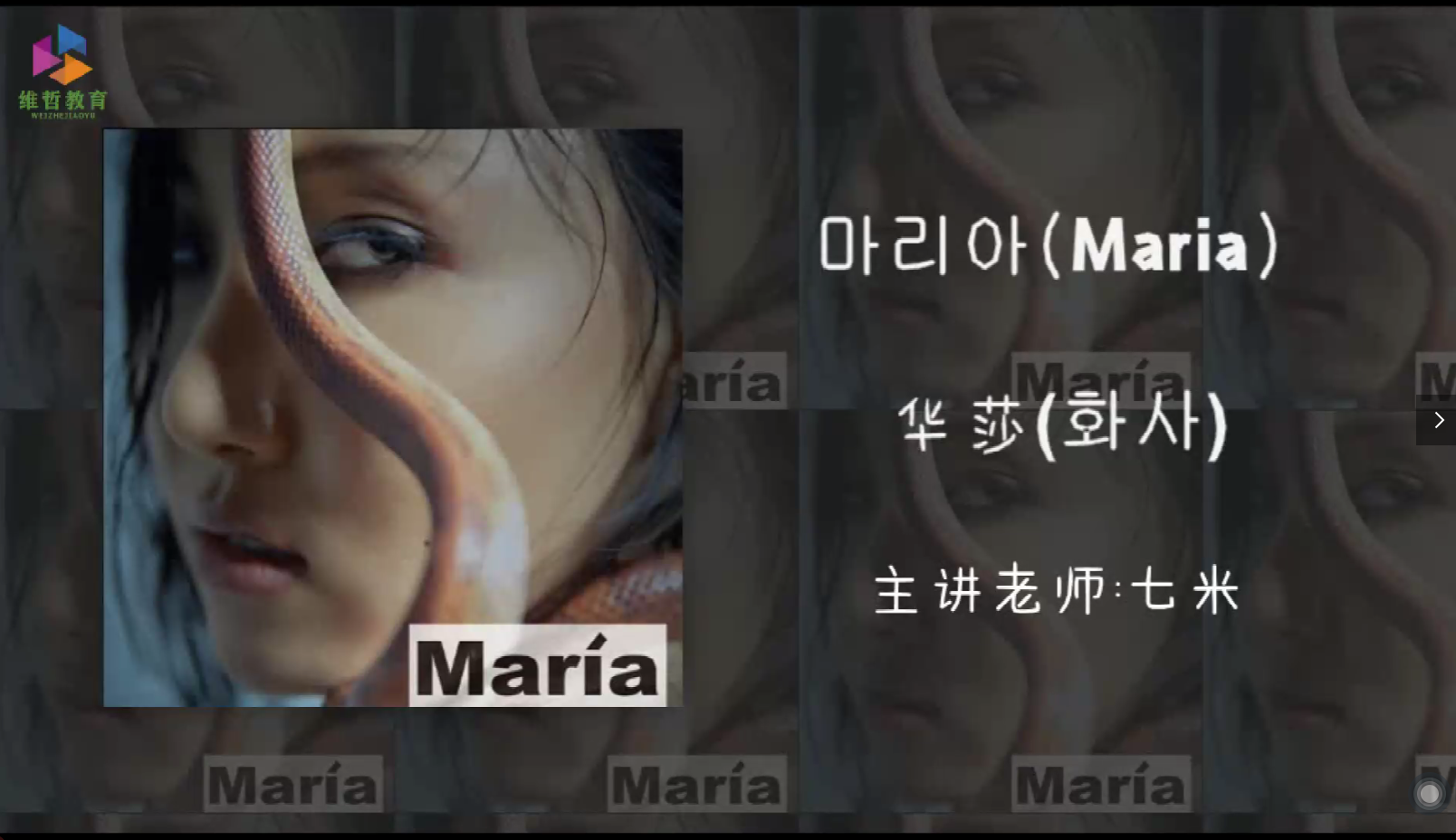 华莎maria歌词 Maria华莎百度云 Maria歌曲华沙 Maria音译歌词