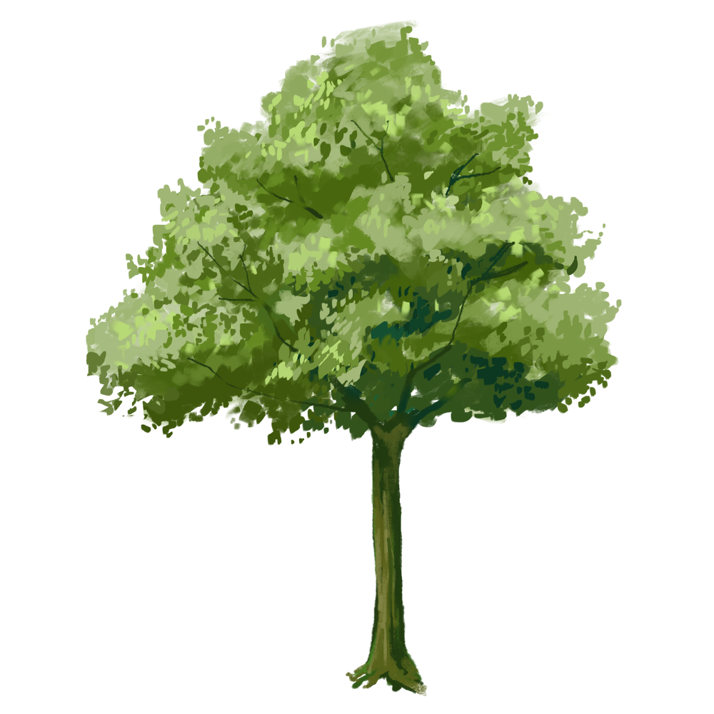 【附送笔刷】画树有何难?3分钟教会你!