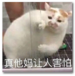 小红书上灌了肠,从此走上不归路...-知社