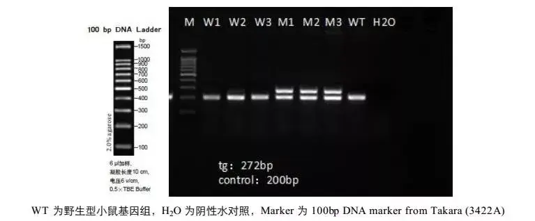 GENOTYPING 101 - 知乎