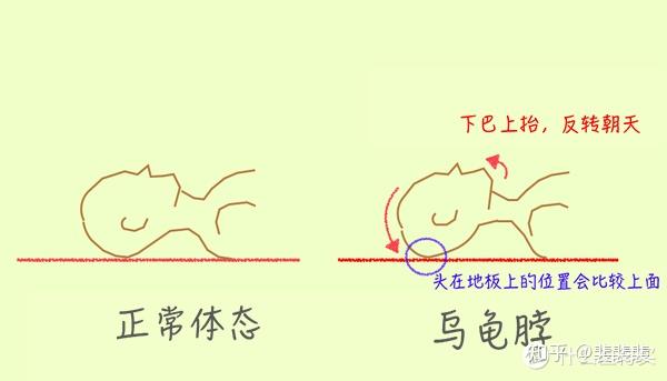 v2-893d1b9871cd44600512d4532f3f5e57_r.jpg