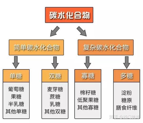 营养学入门--碳水化合物
