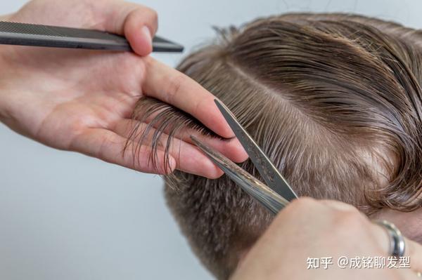 头发是从发根长，还是从发梢长？头发掉了，还会长出来吗？ - 知乎