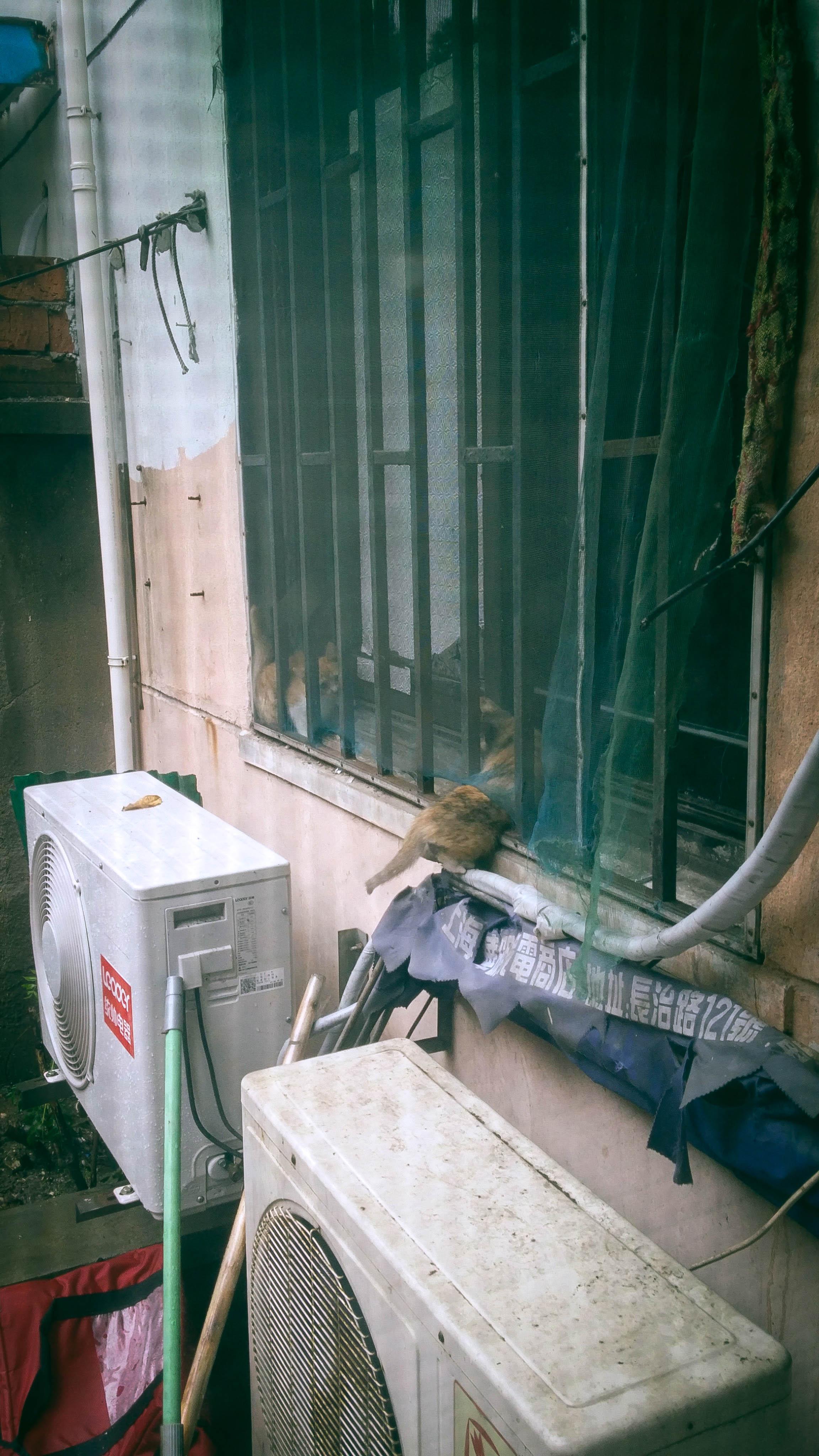 他居然也在看我!好吓人啊!快跑啊!