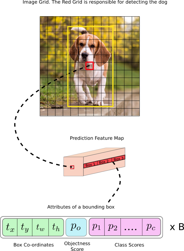 YOLO论文和代码细节 YOLO论文和代码细节