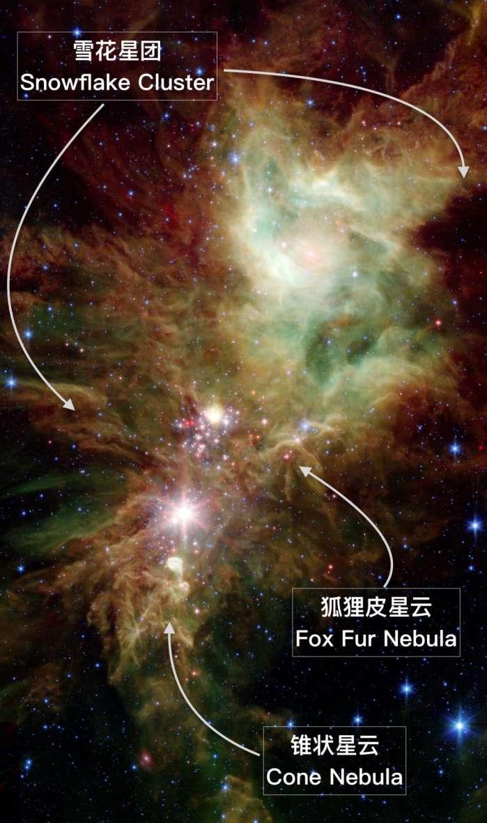 就在狐狸皮星云的上方,有一团耀眼的恒星群,刚刚诞生不久的恒星群