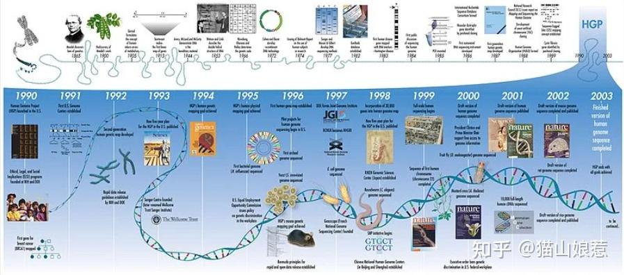 人类基因组草图图片
