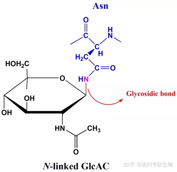糖化和糖基化 - 知乎